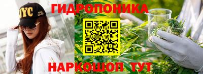 PSILOCYBIN Рязань