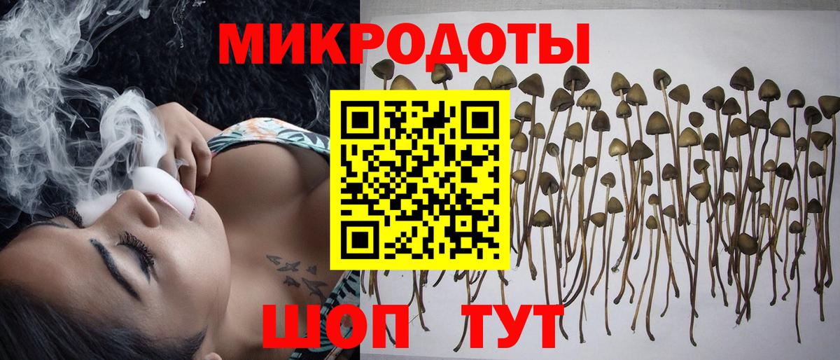 Новосибирск  Псилоцибиновые грибы ЛСД  Вход с VPN 