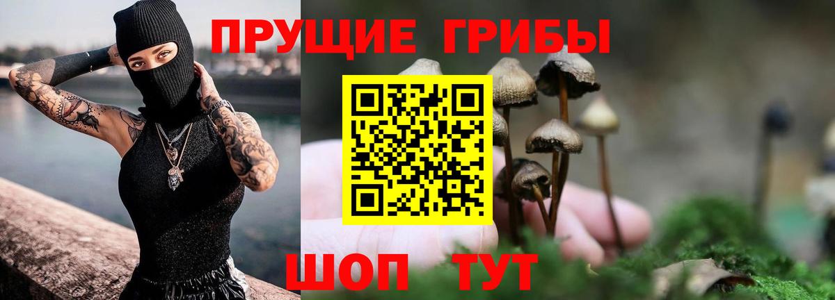 Галлюциногенные грибы мицелий Новосибирск